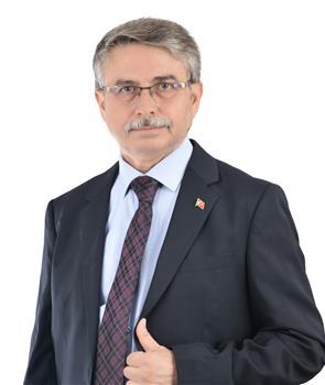 Mehmet Tokmak