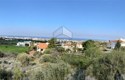 WITHIN 3 ACRES OF LAND VILLA FOR SALE