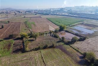 ERA SÖZ DEN BALIKESİR GÖKKÖY DE SATILIK BAHÇE