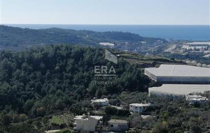 ANTALYA ALANYA ALİEFENDİ MAHALLESİ'NDE SATILIK TARLA