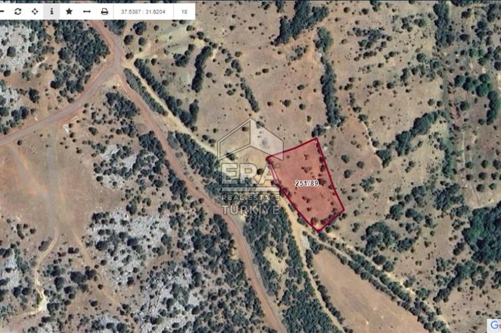 KONYA BEYŞEHİR ÜZÜMLÜ MAHALLESİ SATILIK TEK TAPU TARLA