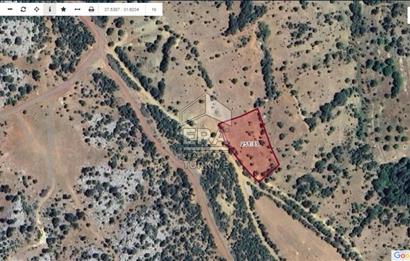 KONYA BEYŞEHİR ÜZÜMLÜ MAHALLESİ SATILIK TEK TAPU TARLA