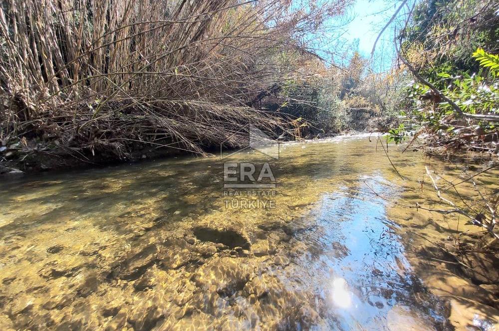 ERA NİVA'DAN DAĞKIZILCA'DA ANA CADDE ÜZERİ FIRSAT TARLA