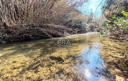 ERA NİVA'DAN DAĞKIZILCA'DA ANA CADDE ÜZERİ FIRSAT TARLA