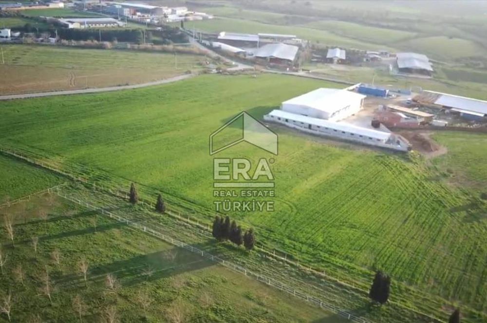 ERA NİVA'DAN KEMALPAŞA HALİLBEYLİ'DE SATILIK 35.175 M² ARAZİ