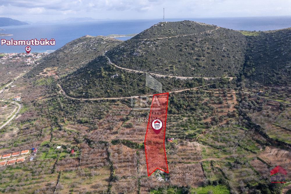 Datça Palamutbükü'nde 5197 m2 İmarlı Arsa Era Zeytin'den