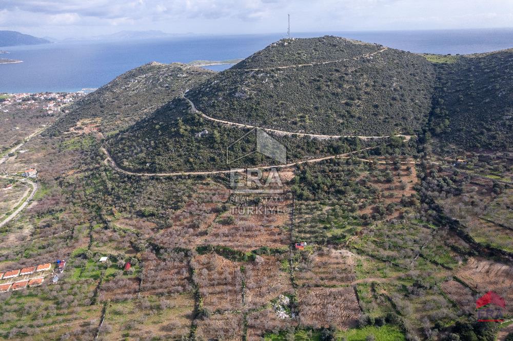 Datça Palamutbükü'nde 5197 m2 İmarlı Arsa Era Zeytin'den