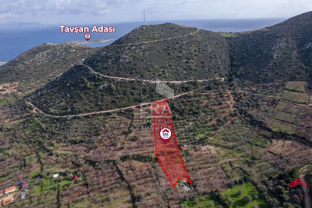 Datça Palamutbükü'nde 5197 m2 İmarlı Arsa Era Zeytin'den