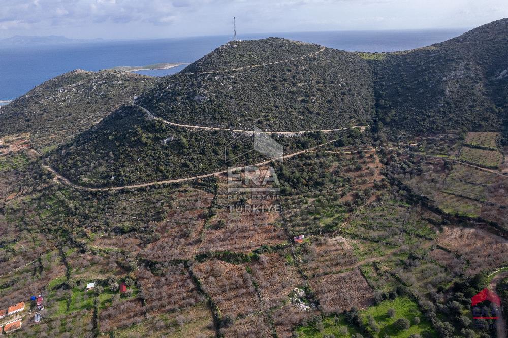 Datça Palamutbükü'nde 5197 m2 İmarlı Arsa Era Zeytin'den