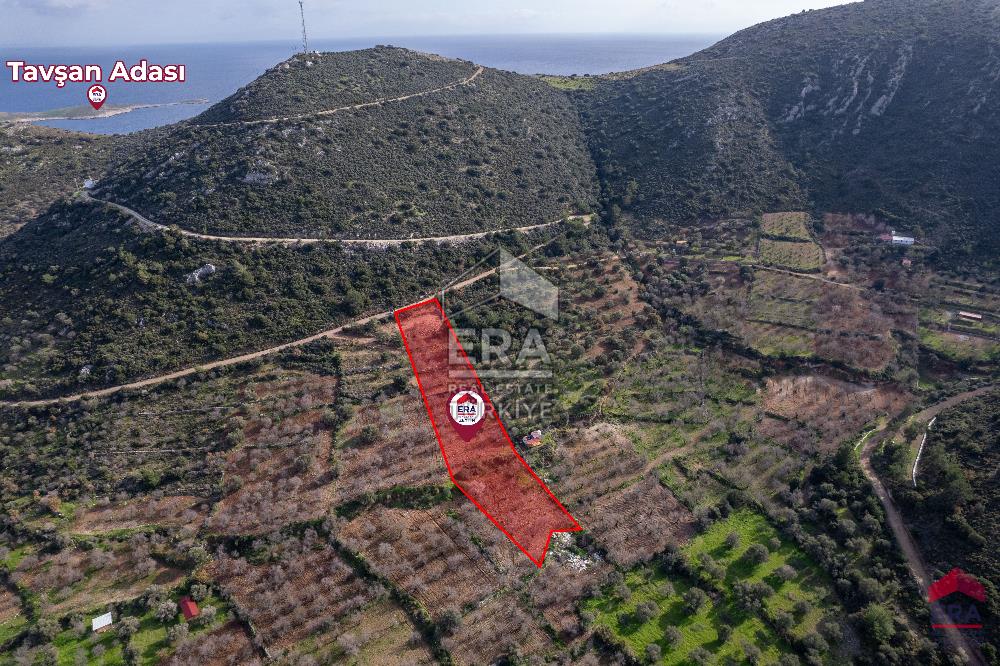 Datça Palamutbükü'nde 5197 m2 İmarlı Arsa Era Zeytin'den