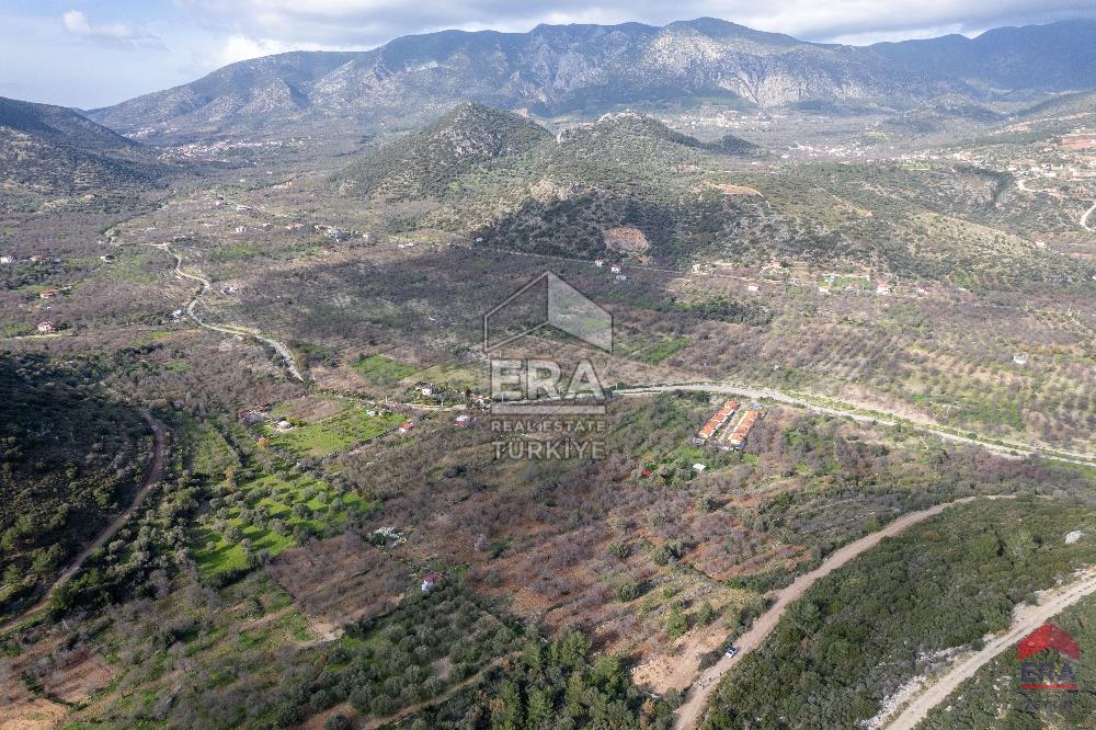 Datça Palamutbükü'nde 5197 m2 İmarlı Arsa Era Zeytin'den