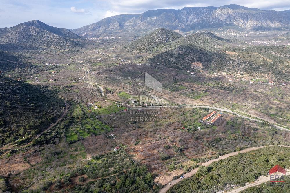 Datça Palamutbükü'nde 5197 m2 İmarlı Arsa Era Zeytin'den