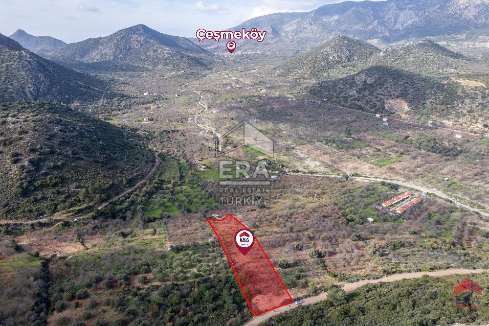 Datça Palamutbükü'nde 5197 m2 İmarlı Arsa Era Zeytin'den