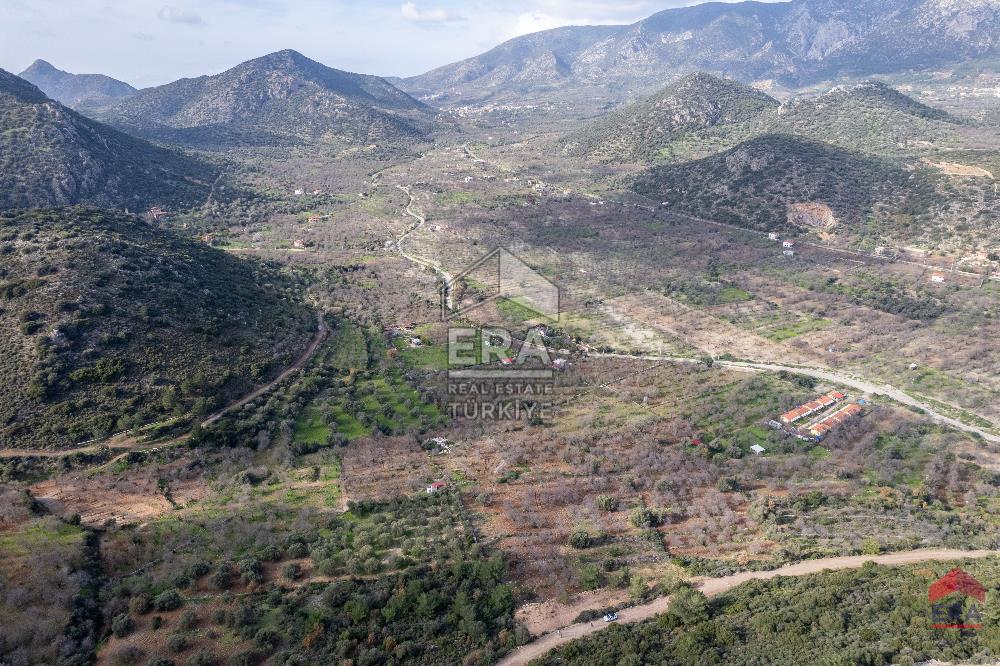 Datça Palamutbükü'nde 5197 m2 İmarlı Arsa Era Zeytin'den