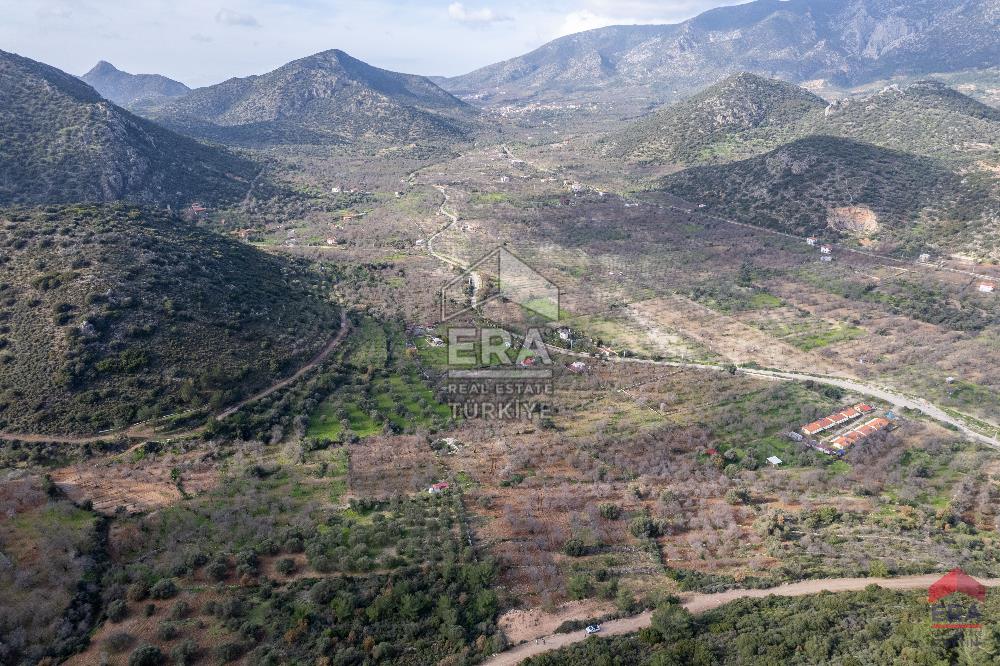 Datça Palamutbükü'nde 5197 m2 İmarlı Arsa Era Zeytin'den