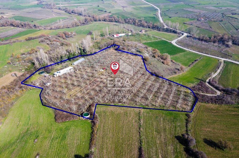 ERA SÖZ GAYRİMENKULDEN BALIKESİR'DE SATILIK CEVİZ BAHÇESİ