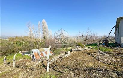 ERA SÖZ GAYRİMENKULDEN BALIKESİR'DE SATILIK CEVİZ BAHÇESİ