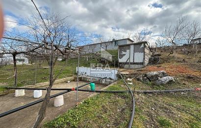 ERA SÖZ GAYRİMENKULDEN BALIKESİR'DE SATILIK CEVİZ BAHÇESİ