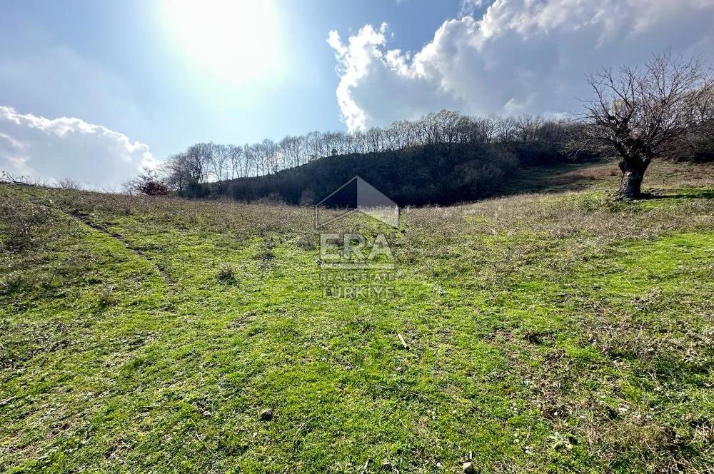 ERA SÖZDEN BALIKESİR GÖNEN KUMKÖY MH SATILIK TARLA