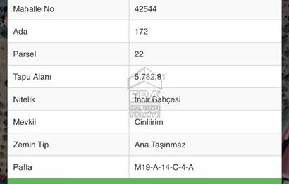 Aydın İncirliova Erbeyli mahallesinde Satılık İncir Bahçesi