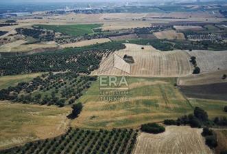 ERA NİVA'DAN KEMALPAŞA BAĞYURDU'NDA SATILIK 24.788 M² TARLA