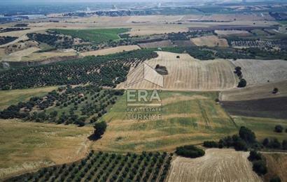 ERA NİVA'DAN KEMALPAŞA BAĞYURDU'NDA SATILIK 24.788 M² TARLA