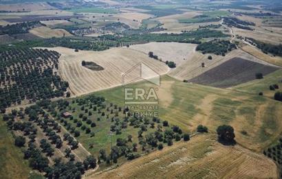 ERA NİVA'DAN KEMALPAŞA BAĞYURDU'NDA SATILIK 24.788 M² TARLA