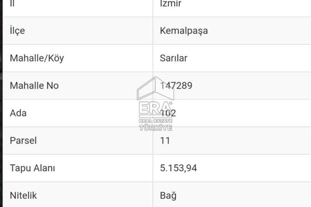 ERA NİVA'DAN KEMALPAŞA SARILAR'DA SATILIK 5.153 M² BAĞ