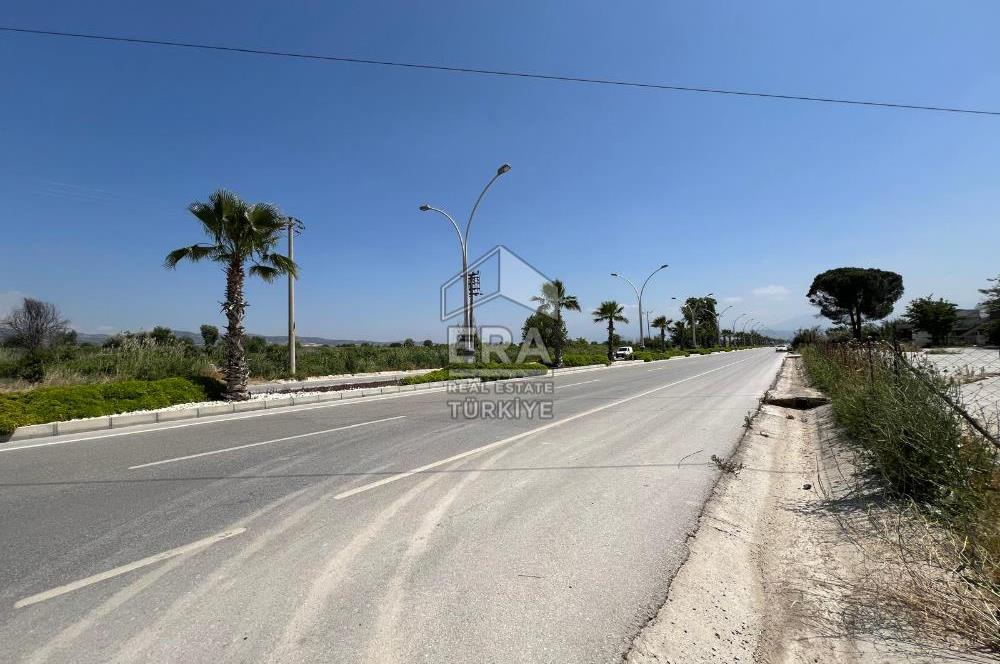 Pamukkale Yeniköy Ana Yola Paralel Cepheli 2981 m2 SATILIK Arazi