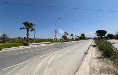 Pamukkale Yeniköy Ana Yola Paralel Cepheli 2981 m2 SATILIK Arazi