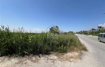 Pamukkale Yeniköy Ana Yola Paralel Cepheli 2981 m2 SATILIK Arazi