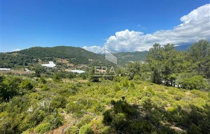 ANTALYA GAZİPAŞA GÜNEYKÖY MAHALLESİ SATILIK TARLA