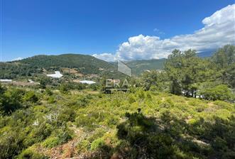 ANTALYA GAZİPAŞA GÜNEYKÖY MAHALLESİ SATILIK TARLA