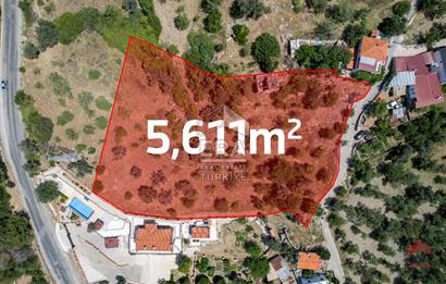 DATÇA MESUDİYEDE 5611 M² SATILIK TARLA