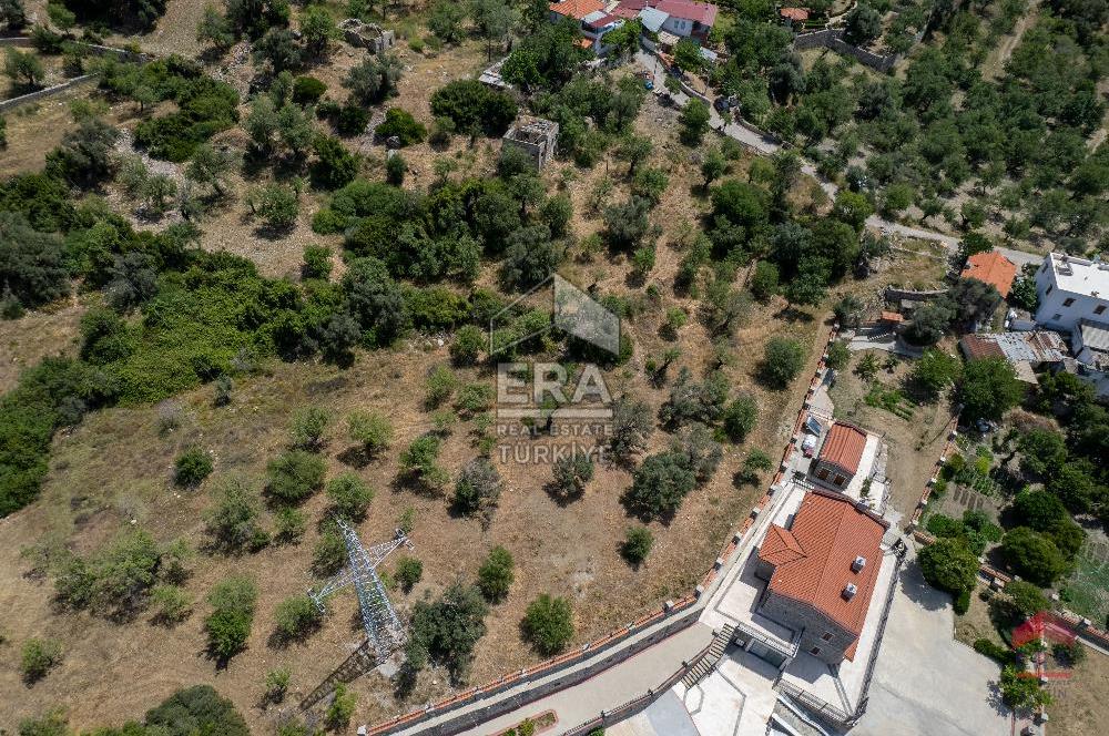 DATÇA MESUDİYEDE 5611 M² SATILIK TARLA