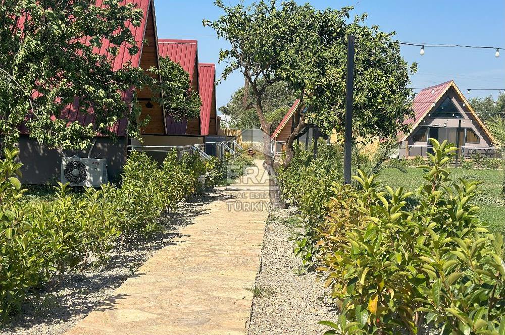 Datça'da Doğa İçerisinde 2+1 Kiralık 70m2 Bungalov