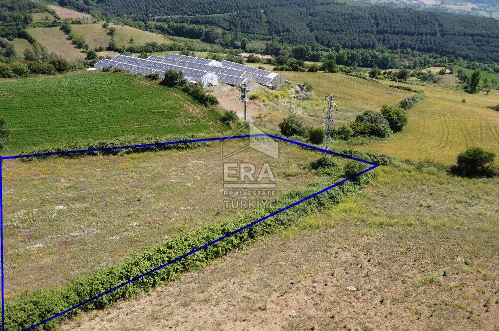 ERA SÖZ GAYRİMENKULDEN KEPSUT MESTANLARDA 4.407 M2 SATILIK TARLA