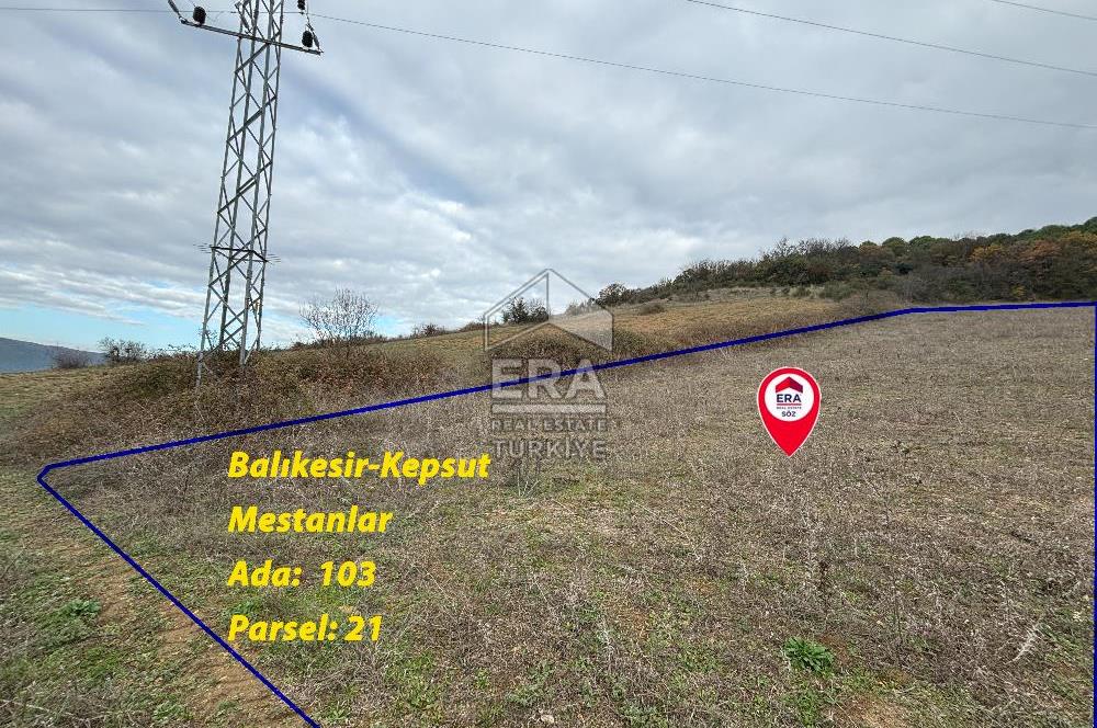 ERA SÖZ GAYRİMENKULDEN KEPSUT MESTANLARDA 4.407 M2 SATILIK TARLA