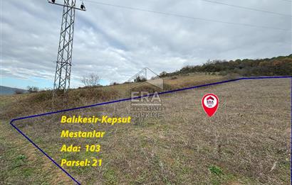 ERA SÖZ GAYRİMENKULDEN KEPSUT MESTANLARDA 4.407 M2 SATILIK TARLA