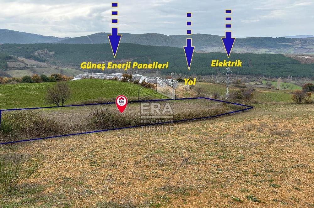 ERA SÖZ GAYRİMENKULDEN KEPSUT MESTANLARDA 4.407 M2 SATILIK TARLA