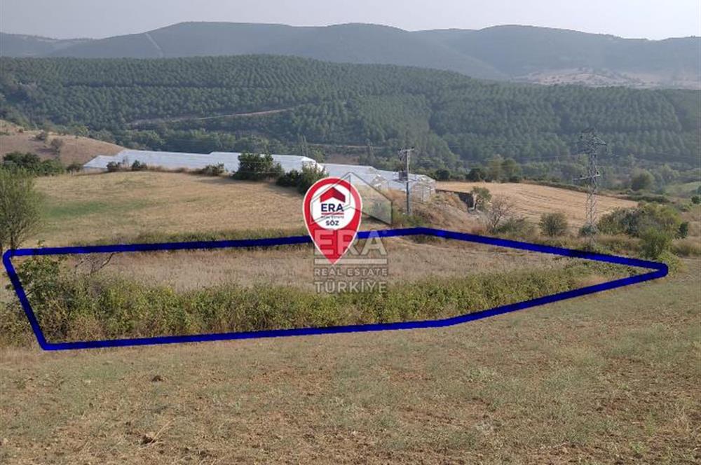 ERA SÖZ GAYRİMENKULDEN KEPSUT MESTANLARDA 4.407 M2 SATILIK TARLA