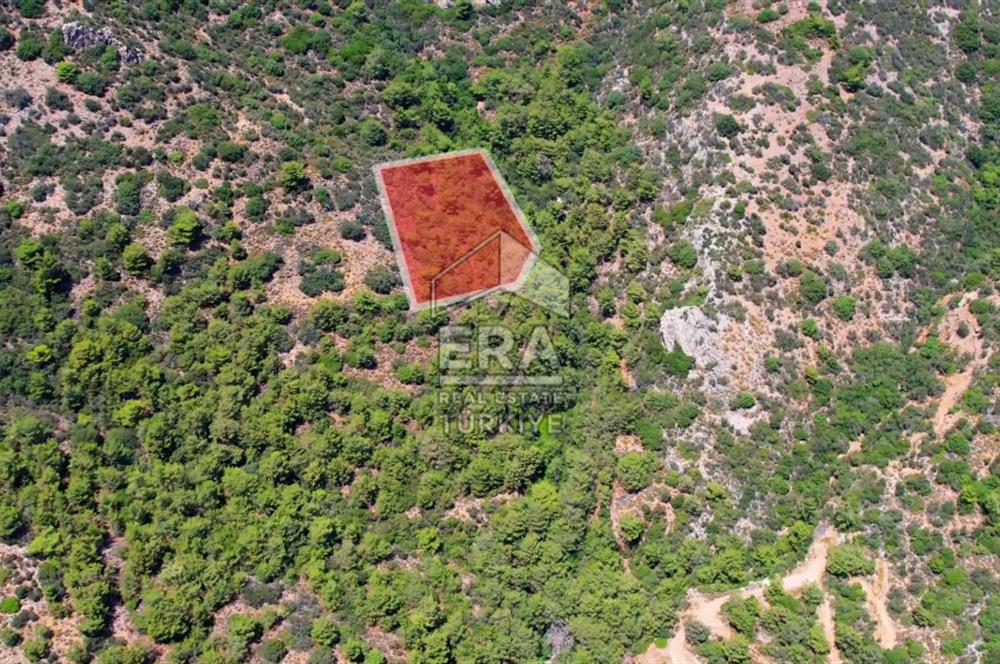 DATÇA MESUDİYE’ DE DENİZ MANZARALI 2.632 M2 SATILIK TARLA