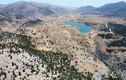 ERA FLY GAYRİMENKUL'DEN TAVAS AYDOĞDU'DA SATILIK TARLA