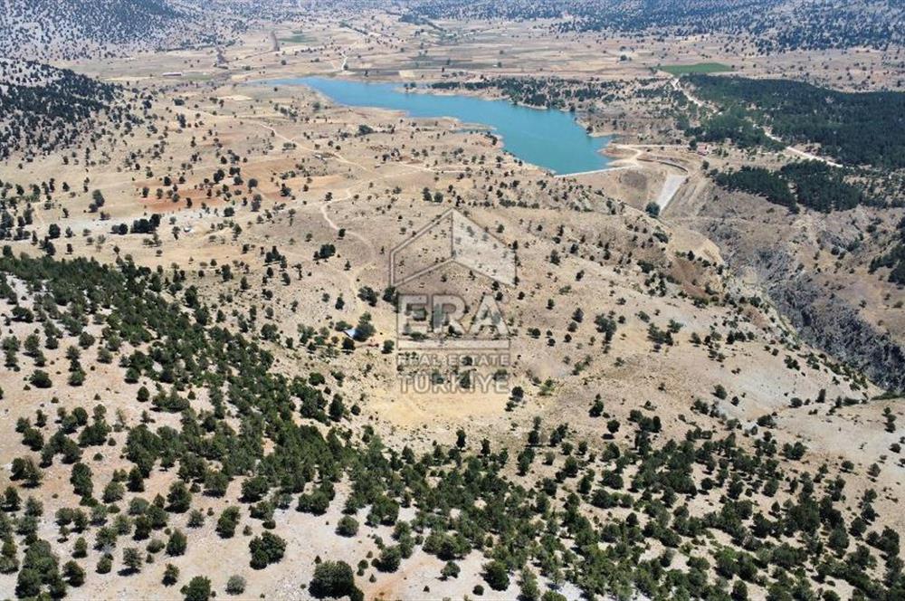 ERA FLY GAYRİMENKUL'DEN TAVAS AYDOĞDU'DA SATILIK TARLA