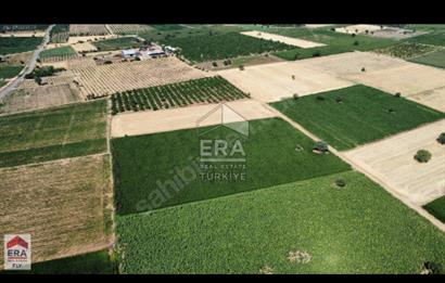 ERA FLY'DAN TAVAS KIZILCABÖLÜK'TE SATILIK TARLA