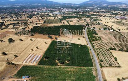 ERA REAL ESTATE FLY GAYRİMENKUL PORTFÖYLERİNDEN TAVAS KIZILCABÖLÜK'TE  SATILIK TARLA