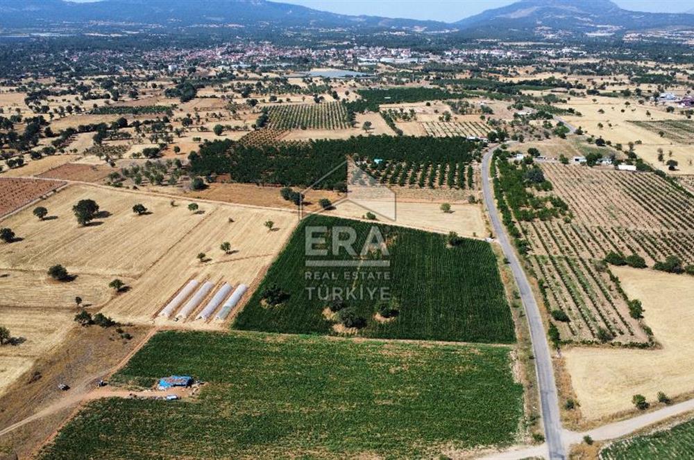 ERA REAL ESTATE FLY GAYRİMENKUL PORTFÖYLERİNDEN TAVAS KIZILCABÖLÜK'TE  SATILIK TARLA