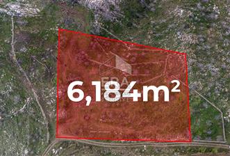 DATÇA MESUDİYE'DE DENİZ MANZARALI 6184 m2 TARLA ERA ZEYTİNDEN