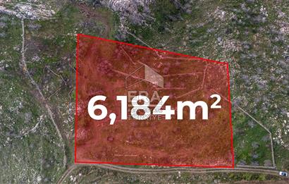 DATÇA MESUDİYE'DE DENİZ MANZARALI 6184 m2 TARLA ERA ZEYTİNDEN