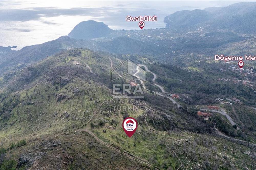 DATÇA MESUDİYE'DE DENİZ MANZARALI 6184 m2 TARLA ERA ZEYTİNDEN